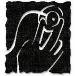 PALMETTO PRIMARY CARE PHYSICIANS L.L.C.