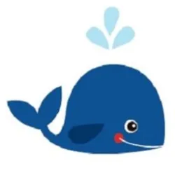 Little Fin Therapies