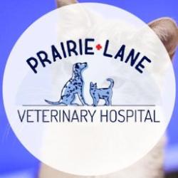 Prairie Lane Veterinary Hospital