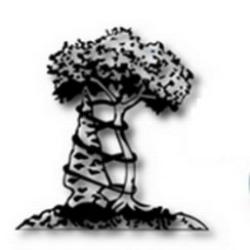 Arrowhead Orthopaedics