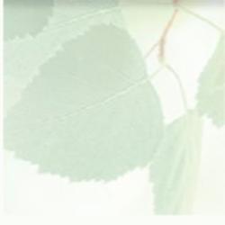 Stratford Pines Nursing & Rehabilitation