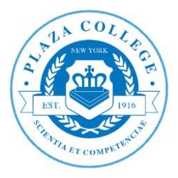 Plaza College