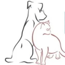 Canisteo Veterinary Hospital