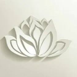 Premier Wellness Centers