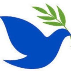 St. John's Health Care P.C.