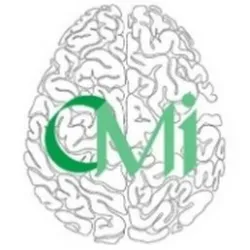 Communicare Michigan LLC