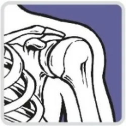 Columbia Orthopaedic Group