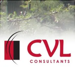 CVL Consultants