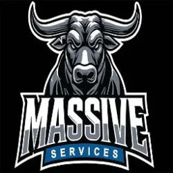 Massive services llc