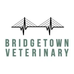 Bridgetown Veterinary Emergency and Referral