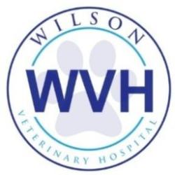 Wilson Veterinary Hospital
